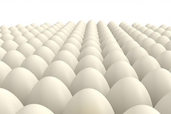 食品添加物使用範(fàn)圍及用量標(biāo)準(zhǔn)-第4類-漂白劑